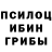Псилоцибиновые грибы Cubensis Benjamin Watson
