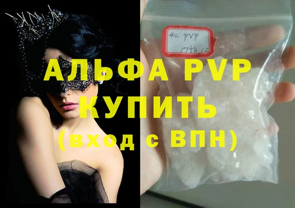 PSILOCYBIN Беломорск